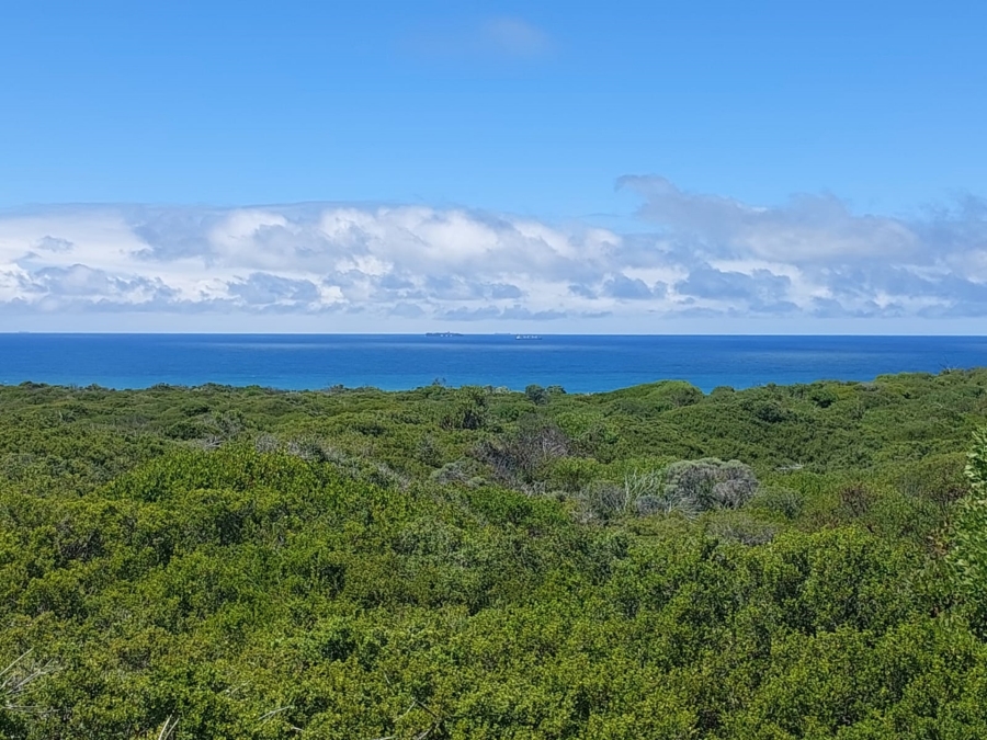 0 Bedroom Property for Sale in Agulhas Western Cape